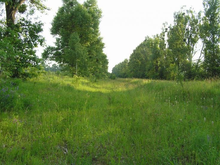 Шипинки з panoramio.com - Шипинки