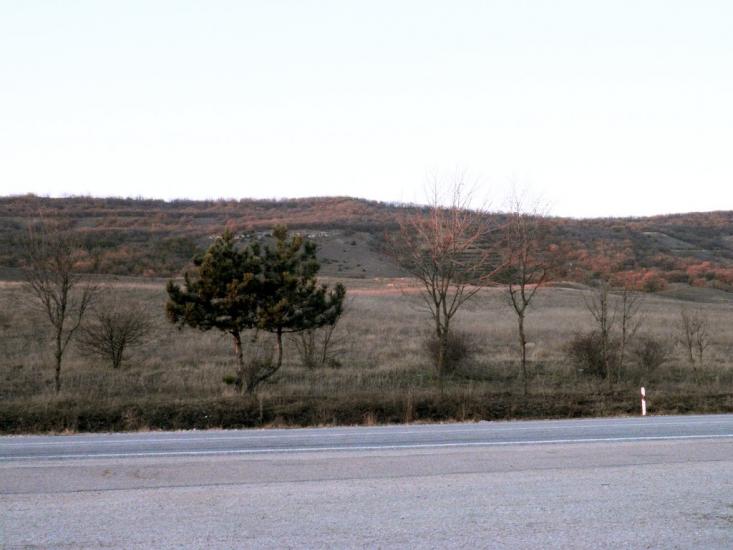 Холмівка з panoramio.com - Холмовка