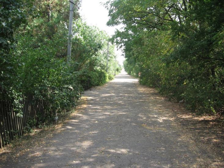 Зелений Гай з panoramio.com - Зелений Гай