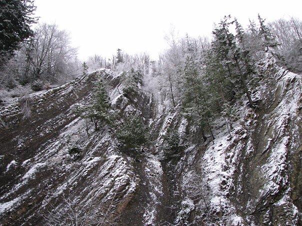 Зубриця з panoramio.com - Зубрица