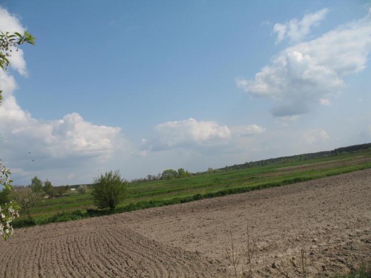 Дружня з panoramio.com - Дружня