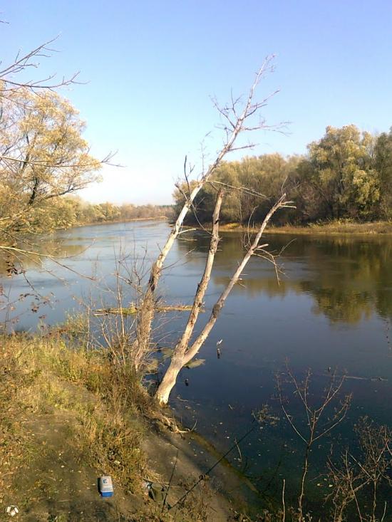 Піщане з panoramio.com - Песчаное