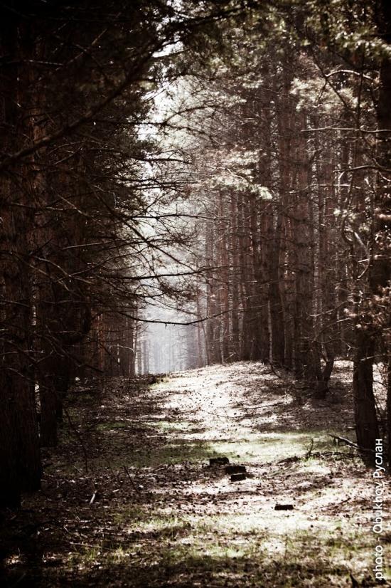 Шульгівка з panoramio.com - Шульговка