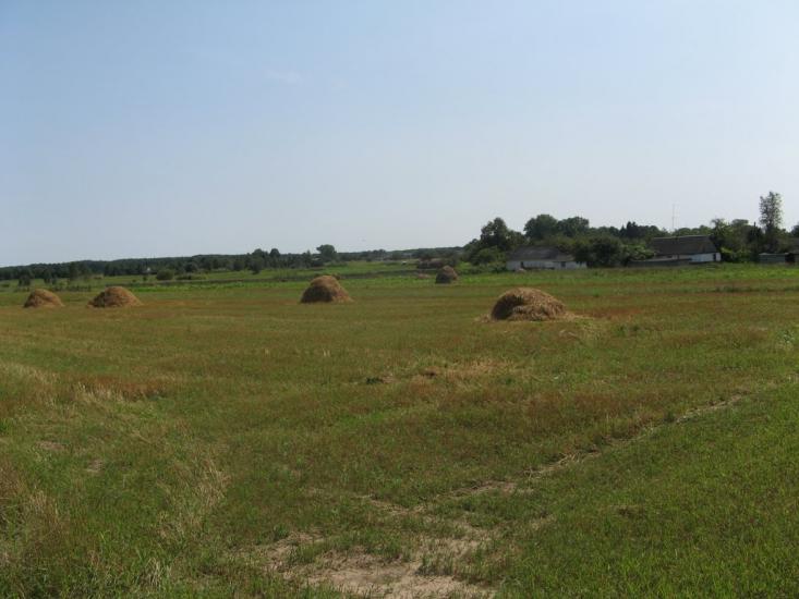 Жари з panoramio.com - Жари