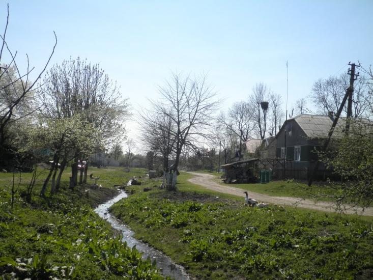 Хлопчиці з panoramio.com - Хлопчицы