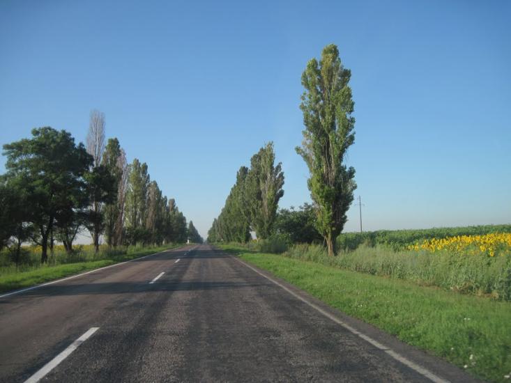 Осокорівка з panoramio.com - Осокорівка