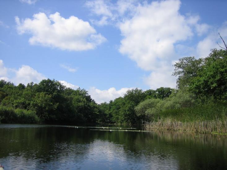 Гупалівка з panoramio.com - Гупаловка