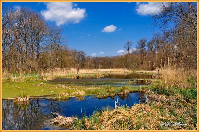 Дронівка з panoramio.com - Dronivka