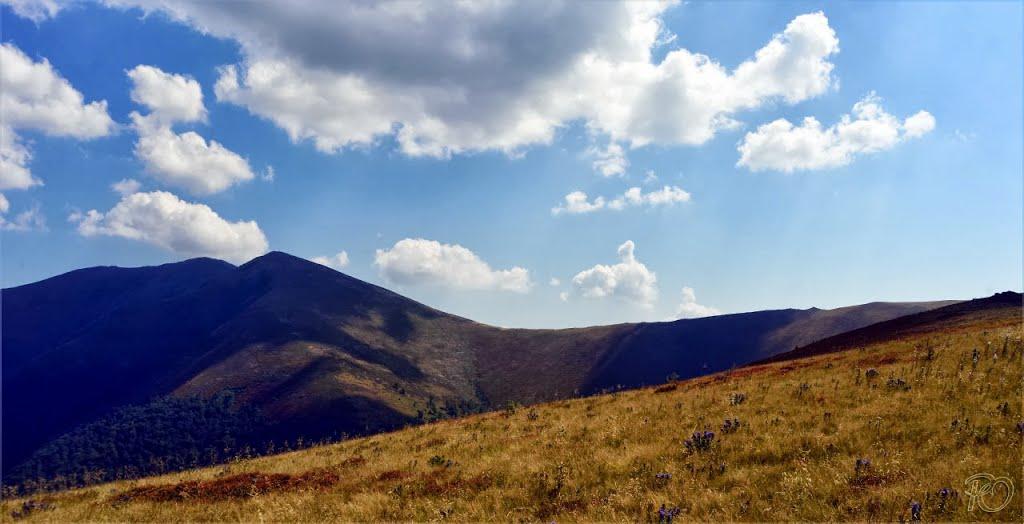 Вовчий з panoramio.com - Волчий