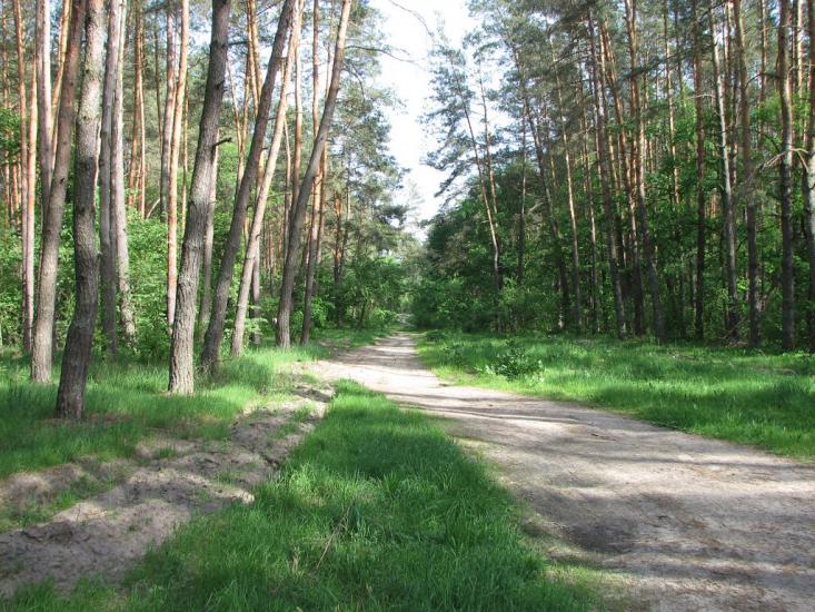 Гірки з panoramio.com - Girky