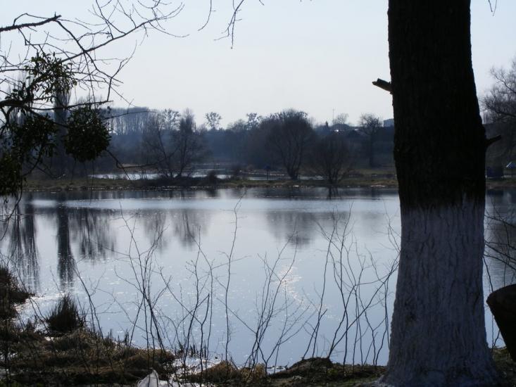 Полонне з panoramio.com - Полонне