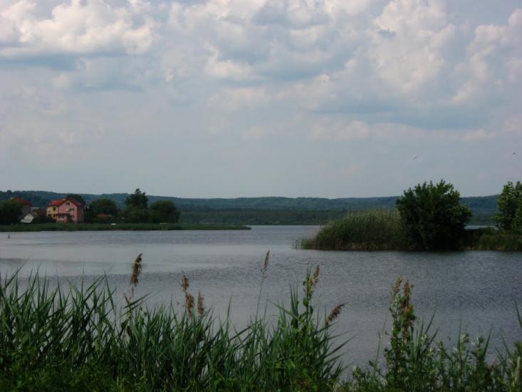 Івано-Франкове з panoramio.com - Ивано-Франково