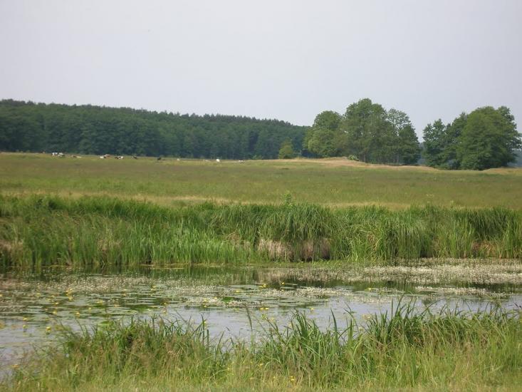 Чорногородка з panoramio.com - Чорногородка