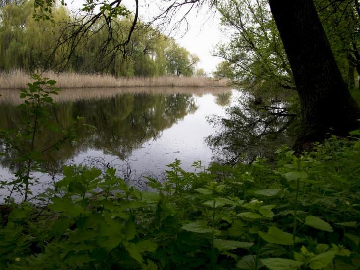 Гірницьке з panoramio.com - Горницкое