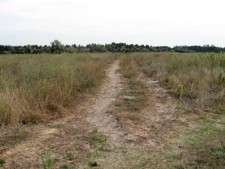 Раденськ з panoramio.com - Radensk