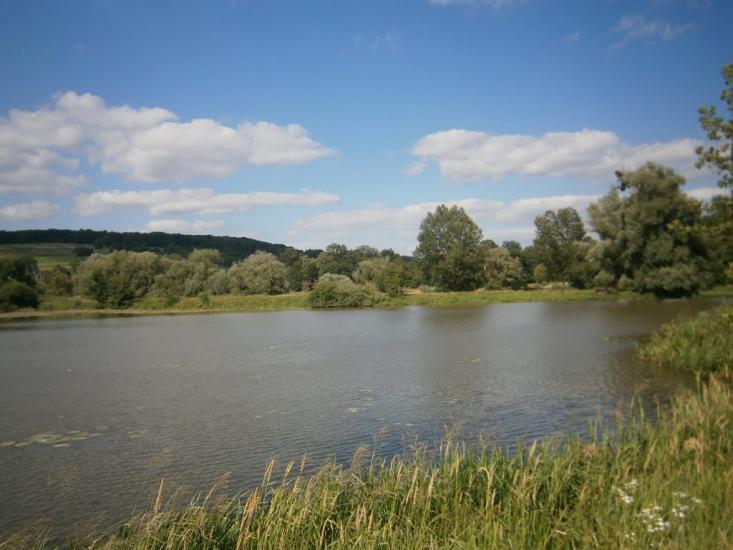 Розділ з panoramio.com - Роздол