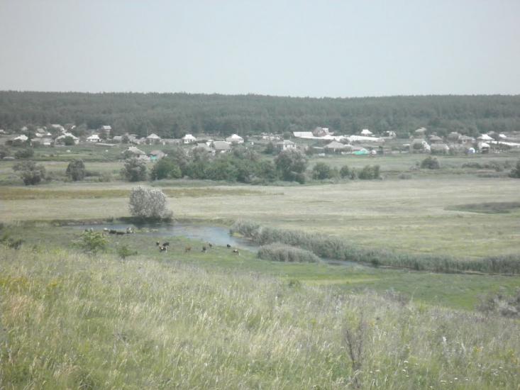 Нижній Бишкин з panoramio.com - Нижній Бишкин