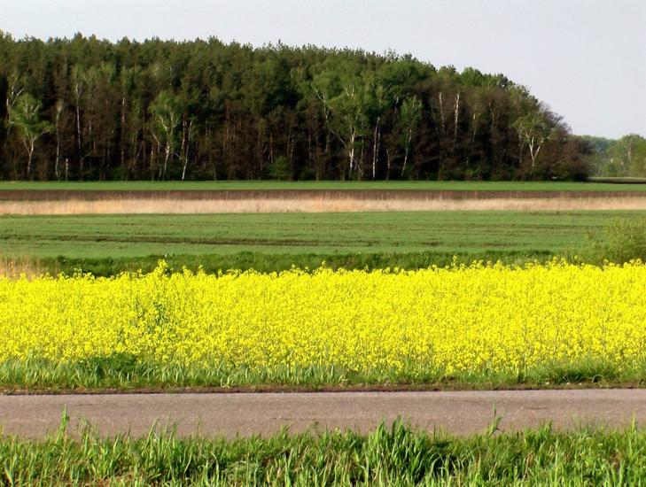 Устинкова Гребля з panoramio.com - Устинкова Гребля