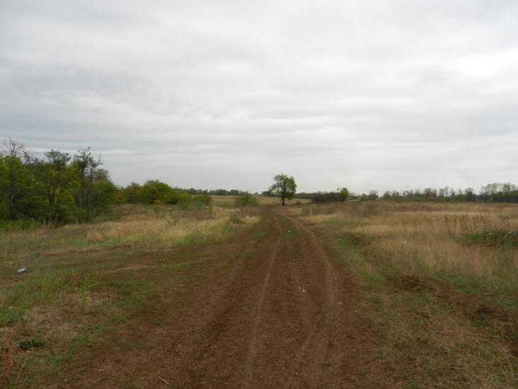 Старий Крим з panoramio.com - Старий Крим