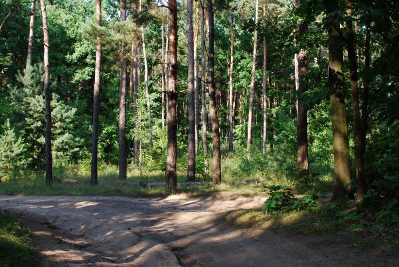 Степашки з panoramio.com - Степашки