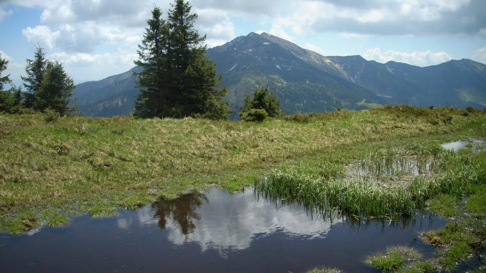 Видричка з panoramio.com - Видричка