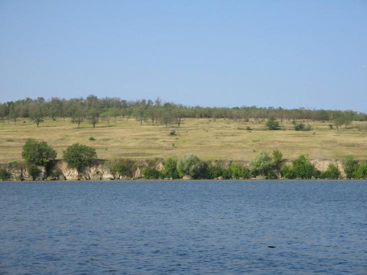 Осокорівка з panoramio.com - Осокоровка