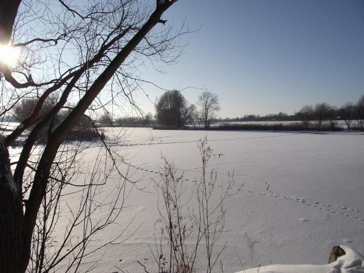 Розаліївка з panoramio.com - Розаліївка
