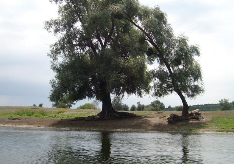 Нижній Бишкин з panoramio.com - Нижній Бишкин