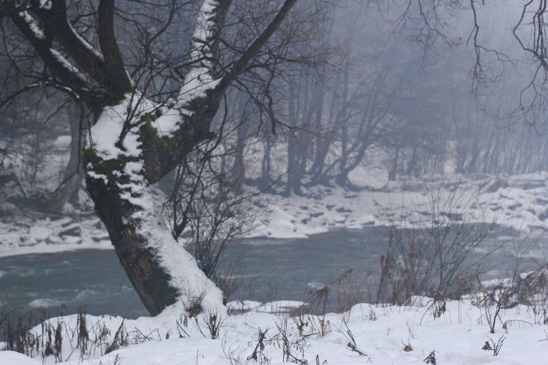 Усть-Чорна з panoramio.com - Усть-Чорна