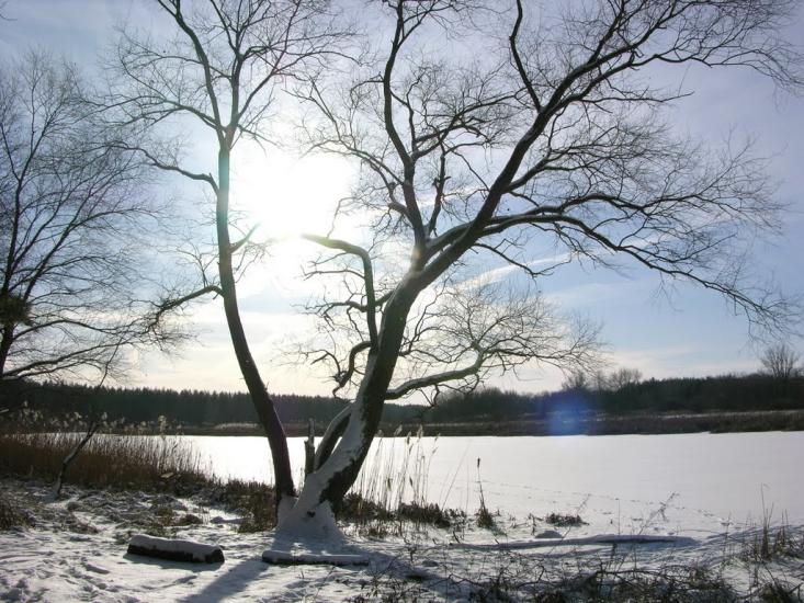 Крейдянка з panoramio.com - Крейдянка