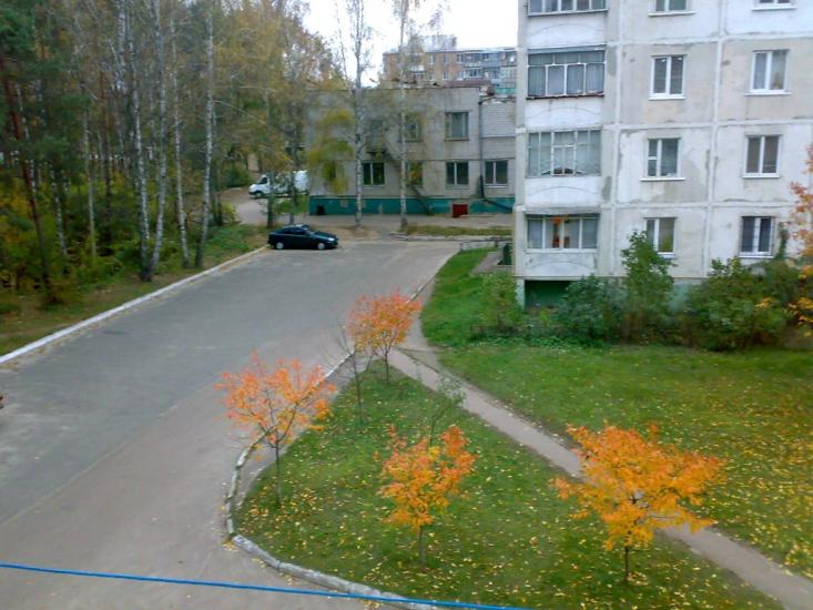 Проліски з panoramio.com - Prolisky
