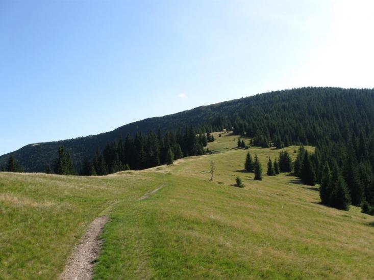 Стригальня з panoramio.com - Strygalnya