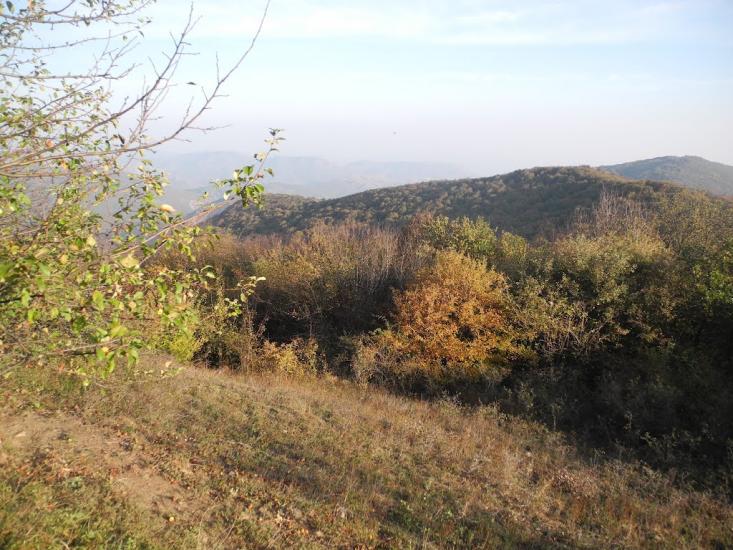 Поворотне з panoramio.com - Поворотное