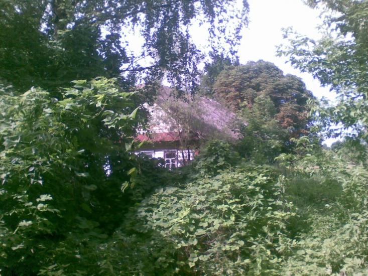 Обиходи з panoramio.com - Обиходи