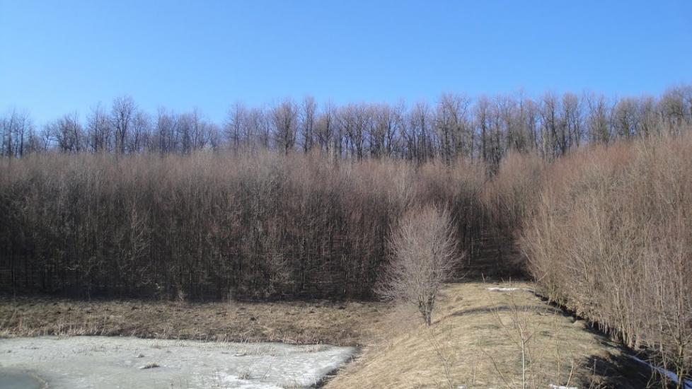Вапнярка з panoramio.com - Вапнярка