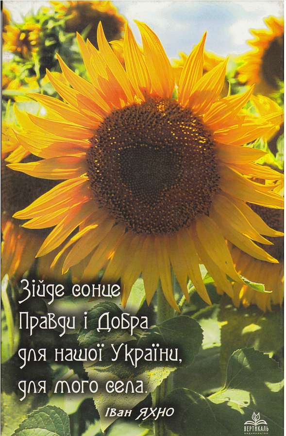 Історія  Матусіва - Матусів