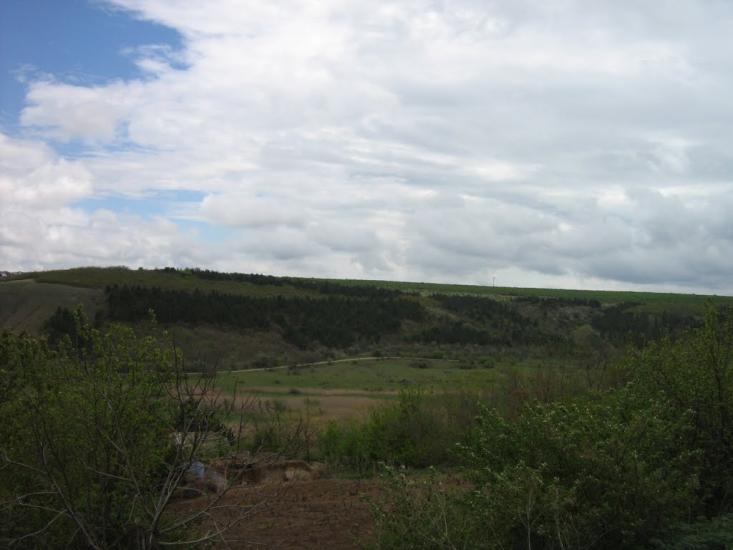 Дубове з panoramio.com - Дубове