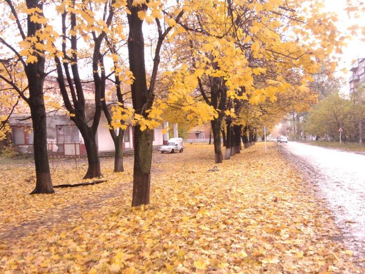 Кодима з panoramio.com - Кодыма