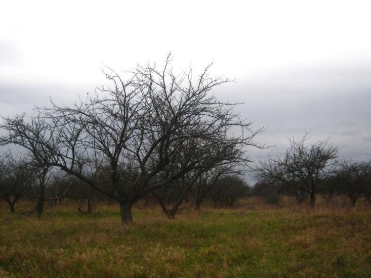 Радехів з panoramio.com - Радехов