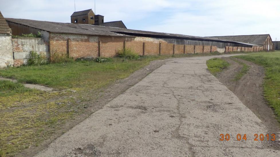 Дачне з panoramio.com - Дачне