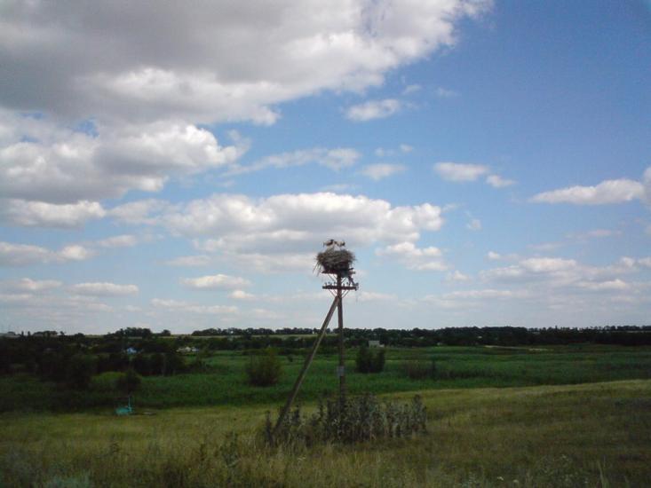 Новоселівка з panoramio.com - Новоселівка