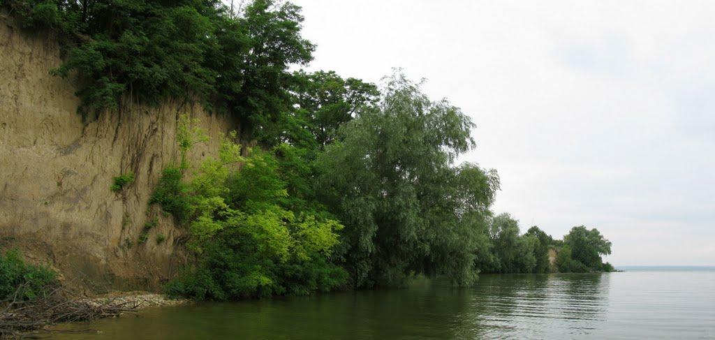 Осокорівка з panoramio.com - Осокоровка