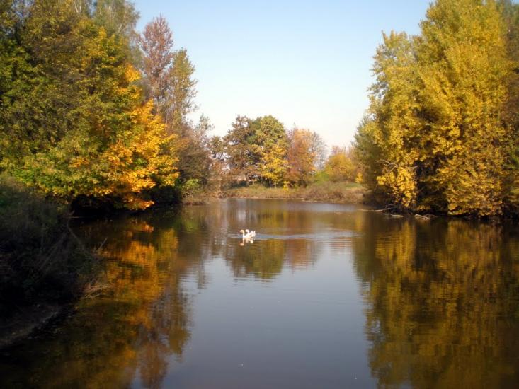 Клин з panoramio.com - Клин