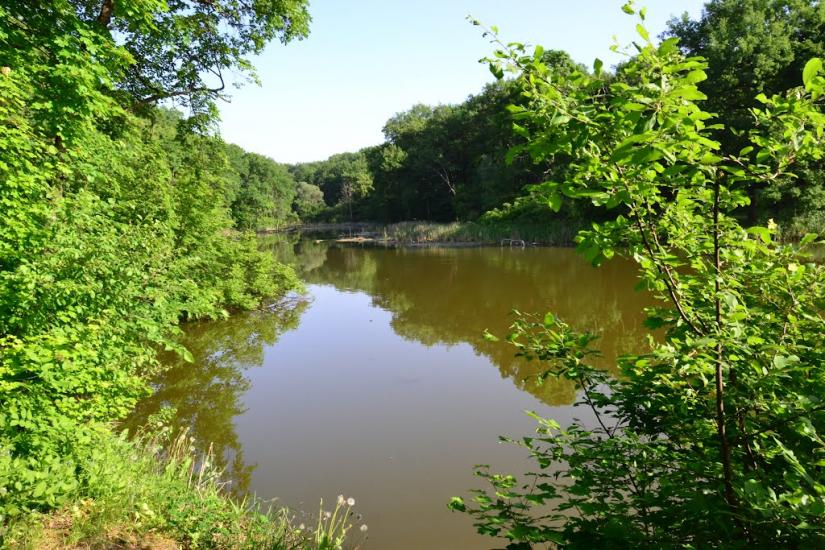 Шабельківка з panoramio.com - Шабельківка