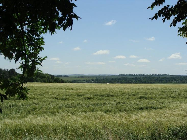 Черемошне з panoramio.com - Черемошне