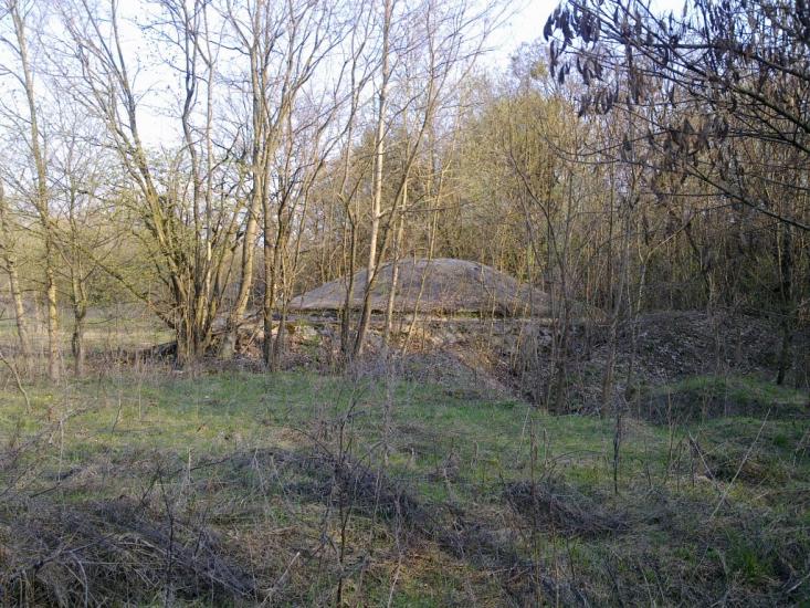 Давидківці з panoramio.com - Давыдковцы