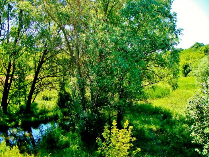 Козацьке з panoramio.com - Казацкое