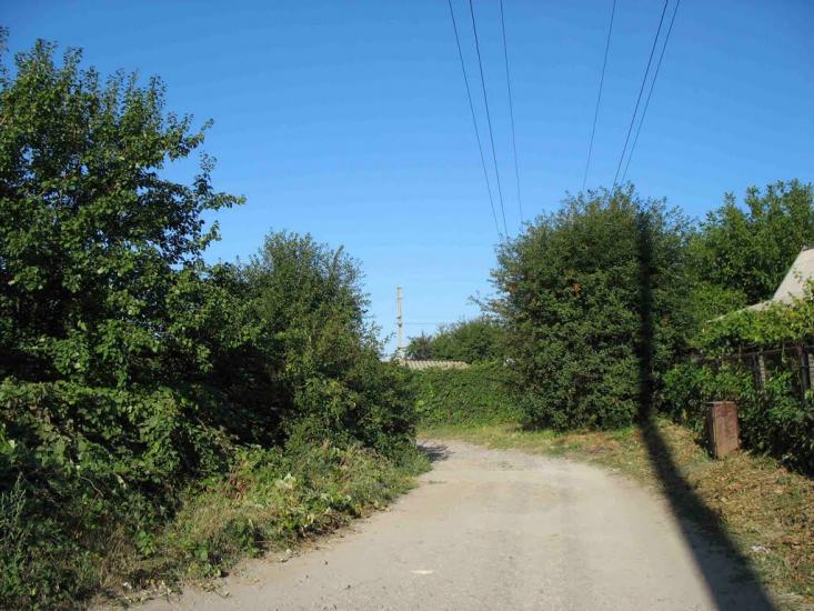 Плавні з panoramio.com - Плавні