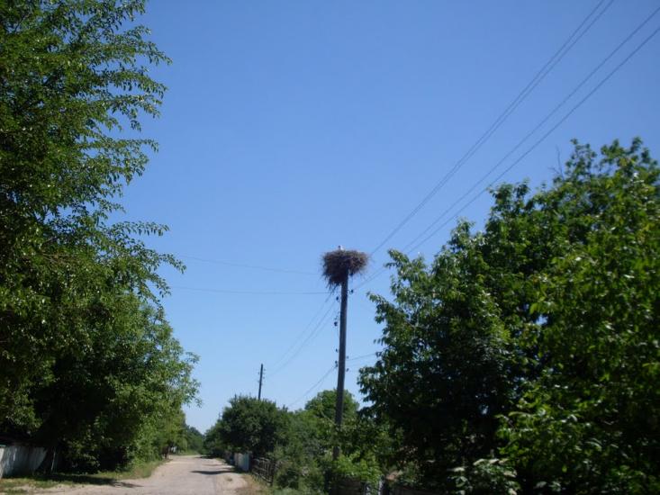 Шура-Бондурівська з panoramio.com - Шура-Бондурівська