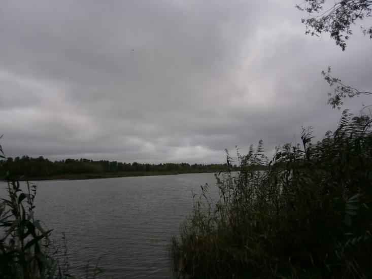Леськи з panoramio.com - Леськи